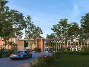 Lotes en Venta ubicados en Cholul Merida Yucatan urbanizados