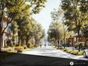 LOTES HABITACIONALES EN VENTA EN $1,250,000