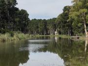 LOTES LAGUNA BARRIO SERENA