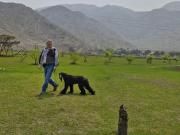 Lotes para Casas de Campo en Carapongo Chosica –...