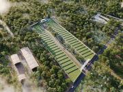 LOTES RESIDENCIALES PASMIERA EN VENTA, UBICADOS EN TIXCUYTÚN