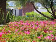 Lotes Residenciales Tipo AAA en Venta en St. Angelo...