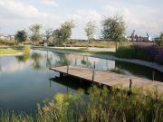 Lotes Terreno en Venta con Lagos y 34,000 m? de ?rea...