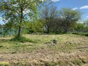 LOTES TERRENOS EN VENTA EN VILLA ELISA