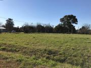 LOTES TERRENOS EN VENTA VILLA ELISA