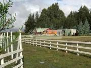 Lotes y terrenos chillán | venta | se vende campo con...