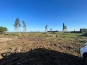 Lotes y Terrenos Parral | venta | Vende 241 hás en...