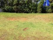 Lote/Terreno à Venda, 1200 m² por R$ 1.830.000