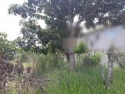 Lote/Terreno à Venda, 450 m² por R$ 75.000