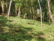 Lote/Terreno para venda possui 2850 metros quadrados em... Lote/Terreno para venda possui 2850 metros quadrados em...