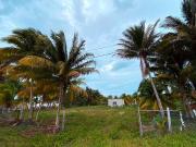 Lots for Sale in Telchac Puerto ? Near the Beach! ?