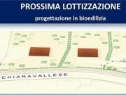 LOTTI EDIFICABILI
