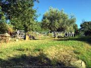 Lotto edificabile di 2788 mq in vendita a Rende Rif. 4518767