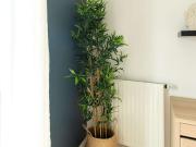 Louez cette agréable chambre en coliving de 10 m² à...
