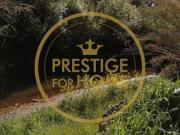 Loulé Algarve 86008472