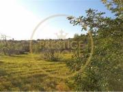 Loulé Faro 82029787