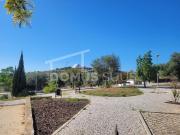 Loulé Loulé 84745894