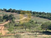 Loulé Loulé 84811288