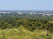 Loulé Loulé 93696206
