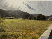 Lourdes Vente Terrain 65