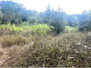 Loures Loures 93829119