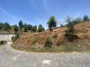 Lousada Lousada 4620 466 92831432