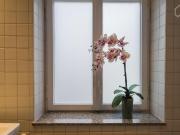 Lovely & charming studio close to...