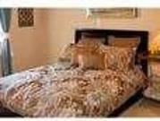 Lovely Cleveland, 2 bed, 1 bath