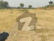 Low budget clear possession plot