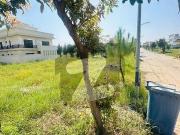 Low Budget Plot For Sale 10 Marla In Top City Low Budget Plot For Sale 10 Marla In Top City