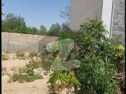 Low budget plot for sale