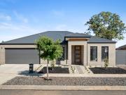 Low Maintenance Modern Home