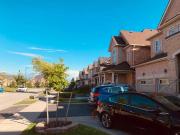 Lower 18 Dillon Drive