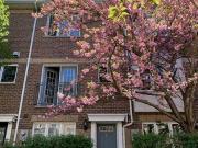 Lower 27 Pear Tree Mews, Toronto, ON, M6P 4H2 house for...