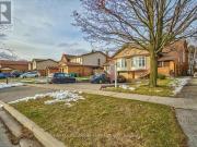 Lower 4252 Jefton Crescent, Mississauga, ON, L5L 1Z3...