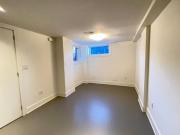 Lower 564 Delaware Avenue N