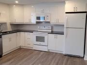 Lower Level Property