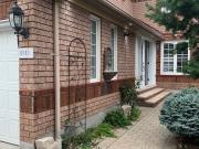 Lower Level Property