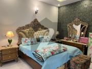 Lower Portion 5 Marla Full Furnished Luxury Design House...