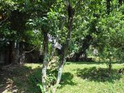 Loyola Grand Villas, Quezon City | Residential Vacant...