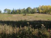 Lt 7 Con 8 Oliver, Thunder Bay, ON, P0T 2G0 vacant land...