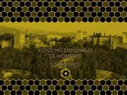 LT / Chalet adosado en el Realejo