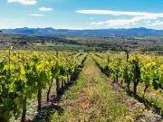 Lucas Fox, la inmobiliaria líder en el mercado...