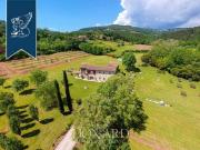 Lucca Lucca 97101992