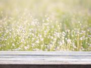 Lugos Vente Terrain 33