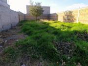 Luis Donaldo Colosio, San Diego de los Padres