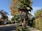 Luminosa casa de 4 Dormitorios mas servicios