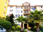 Luminoso departamento en arriendo en Mirador de Reñaca