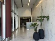 Luminoso Monoambiente Excelente Ubicacion