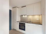 Luminous single apartment in Wettingen